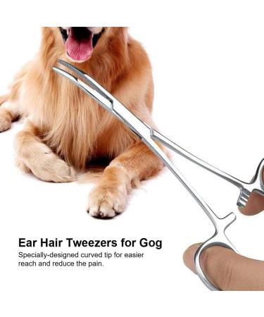 Aililong 14cm Curved Arterial Clamp - Piercing Pliers Set Needle Holder & Hemostatic Tweezers | Animal Grooming Tools & Fishing Accessories - Buy Online on GoSupps.com