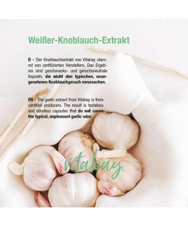 VITABAY White Garlic Extract - 100 Vegan Capsules (2000mg) | Fermented Bioavailable & Tasteless | Made in Germany - Buy Online on GoSupps.com