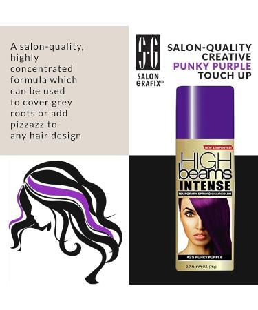 High Beams Intense Temporary Spray-On Hair Color Punky Purple 2.7 oz (3 pack) Purple 2.7 Ounce - Buy Online on GoSupps.com