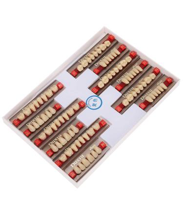 Buy Complete Resin Dentures | High-Quality Artificial Teeth & Dental Supplies for International Shipping - Buy Online on GoSupps.com