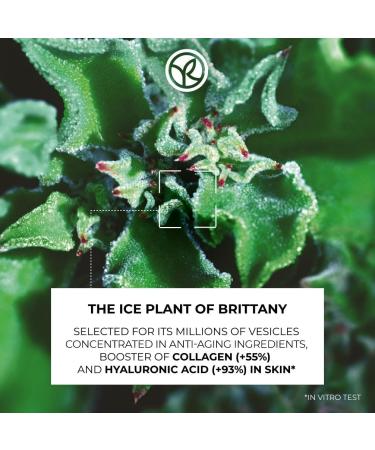 Yves Rocher Lifting Serum | Smooths Plumps and Tones | Micro-pearled Gel Texture | All Skin Types | Apply Morning & Evening | Pump Bottle 30 ml - Buy Online on GoSupps.com