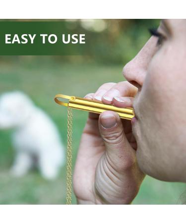 Stress-Reducing Breathing Necklace Set - Anxiety Relief Jewelry for Women | Gold & Black - Buy Online on GoSupps.com