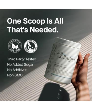 Just Collagen Hydrolyzed Marine Collagen Peptides Powder 250g - Low Molecular Weight Hydrolyzed Collagen Type 1 from Wild-Caught Fish - Tasteless Odorless Non-GMO Gluten-Free - Made in Canada 250 g - Buy Online on GoSupps.com