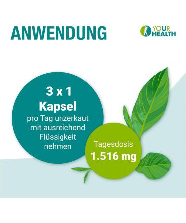  YOUR HEALTH BERBERIN HCL 500 mg vegetable capsules with chromium 360 capsules (pack of 2) - Buy Online on GoSupps.com