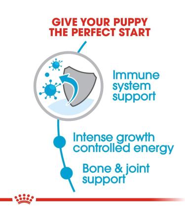 ROYAL CANIN Puppy Food Giant 15 kg - Buy Online on GoSupps.com