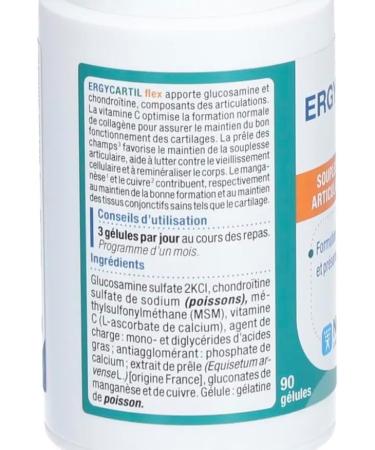 Nutergia - ERGYCARTIL Flex Food supplement based on field horsetail glucosamine chondroitin and enzyme cofactors - Pack of 2 boxes of 90 Capsules (2) - Buy Online on GoSupps.com