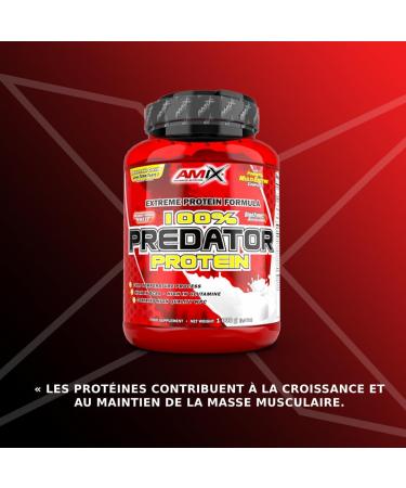 AMIX Predator Protein - Powder for Increasing Muscle Mass - Whey Protein with Digestive Enzymes Amino Acids BCAA and L-Glutamine - Aspartame Free - Chocolate Flavor - 2kg - Buy Online on GoSupps.com