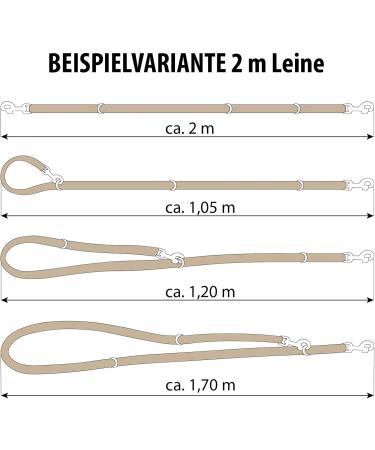 Copcopet 3-Way Adjustable Dog Leash - Handmade Soft Leather Chrome Fittings - 2m x 12mm - Blue - International Shipping Available - Buy Online on GoSupps.com