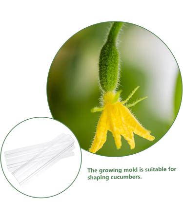 Toddmomy Horticulture 6 Pcs Vegetable Shaping Mold Strawberry Stereotypes Cucumber Molds - Buy Online on GoSupps.com