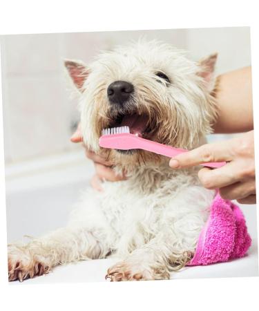 CIYODO Pet Toothpaste 8pcs Double Head Dog Toothbrush Dog Paw Print Large Pet Toothbrush - Buy Online on GoSupps.com