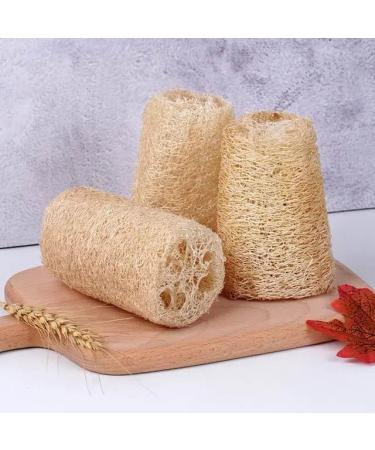 Premium Natural Loofah Sponge Set - Exfoliating Spa Shower & Bath Sponges for Luxury Home Care - Buy Online on GoSupps.com