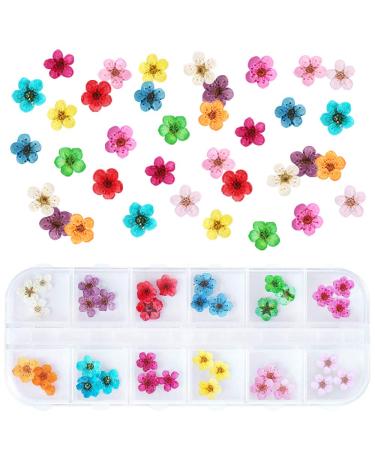 1 Box Dried Flowers for Nail Art  UNIME 12 Colors Dry Flowers Mini Real Natural Flowers Nail Art Supplies 3D Applique Nail Decoration Sticker for Tips Manicure Decor (Flowers)