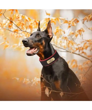 Personalized PU Leather Dog Collars for Medium Dogs | Engraved Name Tags | Pet Artist - Buy Online on GoSupps.com