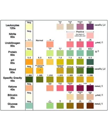 DEWIN 100pcs Urine Test Strips - Quick & Portable Glucose Testing for Home & Lab | 12 Tests per Strip - Buy Online on GoSupps.com