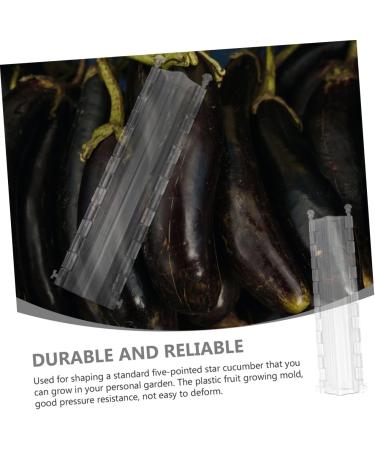 Toddmomy Cucumber Shaping Molds 2pcs Vegetable Shaping Mold Cucumber Planting Supplies Garden Cucumber Mold - Buy Online on GoSupps.com