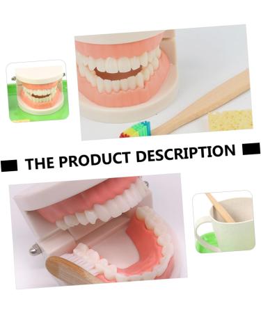 Shop Minkissy 1 Set Early Dental Education Toy - 3D Puzzle Tooth Model for Kids | Fun Role Playing Dental Care Toy - Buy Online on GoSupps.com