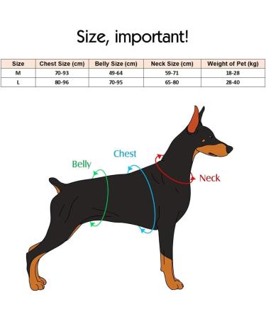 Saddle Bag Hundred Backpack for Medium-Large Dogs | Reflective Waterproof Adjustable - Travel & Training Gear (Green Size L for Dogs 28kg-40kg) - Buy Online on GoSupps.com