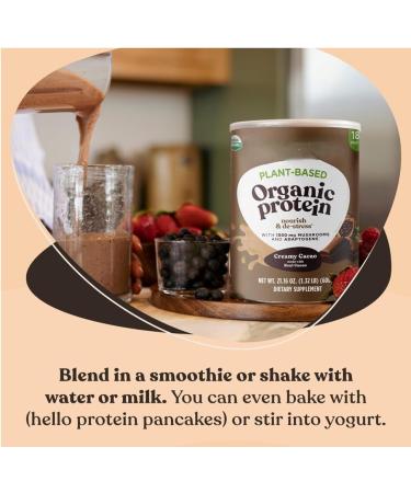 Organic Vegan Protein Powder - Creamy Cocoa Protein Vegetable with Choclate Flavored Lion's Mane 600g - Buy Online on GoSupps.com