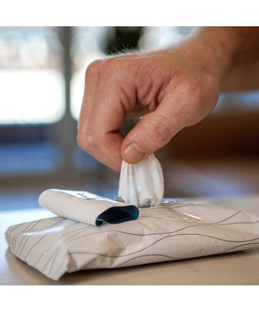 Oars + Alps Antibacterial Hand Sanitizer Wipes with Aloe & Vitamin E - 25 Count - Buy Online on GoSupps.com