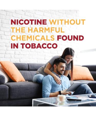 Amazon Basic Care Nicotine Polacrilex Gum 4mg - Cinnamon Flavor 160ct - Buy Online on GoSupps.com