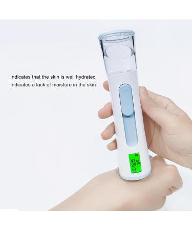 Nano Nano Facial Electric Face Handheld Skin Humidifier 3.7V 2W 30ml High Volume Double Hole for Home Travel (Blue) - Buy Online on GoSupps.com