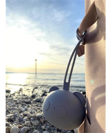 Schnullerbox Bear - Light Pink Pacifier Storage Case & Holder | Free Shipping on Silicone Pacifier Chain - Buy Online on GoSupps.com