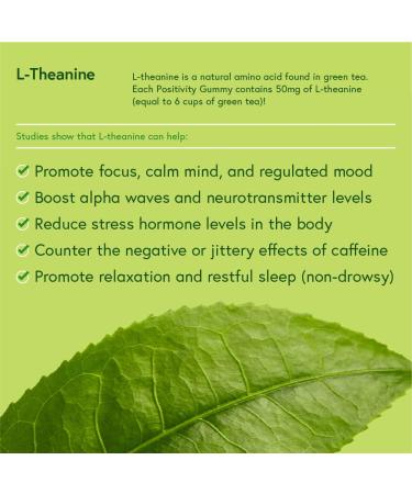 L-Theanine Positivity Gummies - Fast-Acting Stress Relief & Focus | Orange Flavored for Day or Night Use | 30 Individually-Wrapped Gummies - Buy Online on GoSupps.com