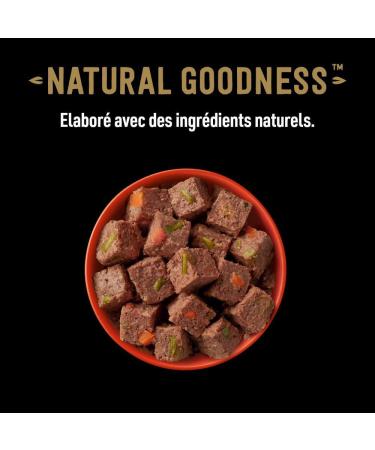 Cesar Barquettes Natural Goodness Terrine Wet Dog Food 4 Varieties Pack of 24 trays x 100 g - Buy Online on GoSupps.com