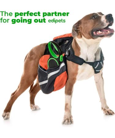 Edipets Retractable Dog Leash - 5m Flexible Band for Pets Up to 50kg | Extendable Inserable & Ideal for Walks - Buy Online on GoSupps.com