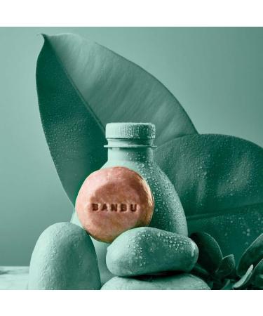  BANBU Solid Repair Shampoo | Shampoo for Damaged Hair | FLASH | Sulfate and Paraben Free Shampoo - Buy Online on GoSupps.com