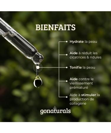 GoNaturals Rosehip Oil - 50ml - 100% Pure and Cold Pressed - Vegan and Cruelty Free - Unscented - Rosehip Oil: Anti Aging Skin Hair Scars and Stretch Marks - Buy Online on GoSupps.com
