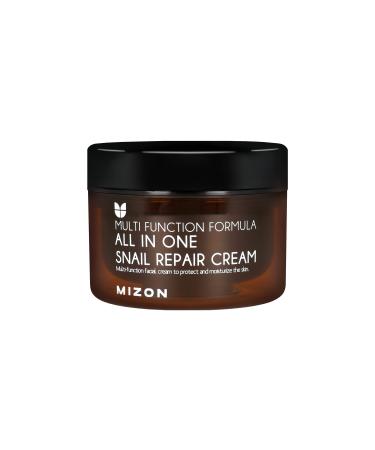 MIZON All In One Snail Repair Cream Day and Night Face Moisturizer with Snail Mucin Extract Recovery Cream Korean Skincare Wrinkle & Blemish Care (4.06 fl oz)
