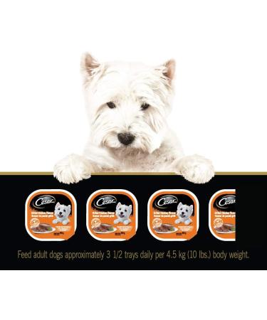 CESAR Adult Wet Dog Food Classic Loaf in Sauce Entr es - Chicken 100g Tray (24 Pack) Chicken 100 g (Pack of 24) - Buy Online on GoSupps.com