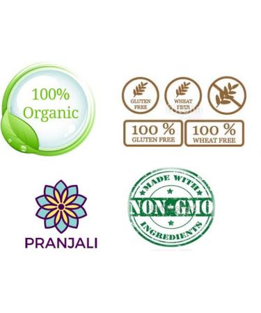 Pranjali Organic Turmeric Paste (Golden Paste) - Non-GMO, Gluten-Free, 6.7 oz - Buy Online on GoSupps.com