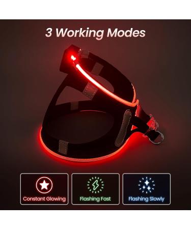LED Dog Harness for Small & Medium Dogs - Rechargeable Reflective Lightweight & Breathable - Black/Red XS - Buy Online on GoSupps.com