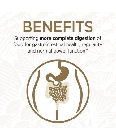 Garden of Life O-Zyme Ultra | Ultimate Digestive Enzyme Blend | 90 Vegetarian Capsules - Buy Online on GoSupps.com