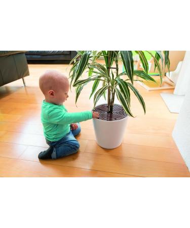 Abus Noah Flower Pot Grid - Plant Protection Grille for Pots Up to 30cm - Brown - Safeguard Soil from Animals & Children - Buy Online on GoSupps.com