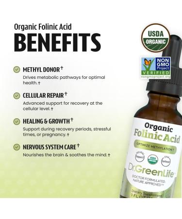 Dr. Green Life USDA Organic Folinic Acid Drops - 500 mcg per Drop | Methylation Support B9 Supplements for Kids & Adults | Supports Neurological Function, Nervous System Health & DNA Synthesis - Buy Online on GoSupps.com
