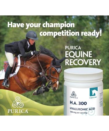 PURICA Equine HA - Horse Joint Supplement with Hyaluronic Acid and Vitamin C 990g - Ideal for Equine Health & Recovery 990 g (Pack of 1) - Buy Online on GoSupps.com