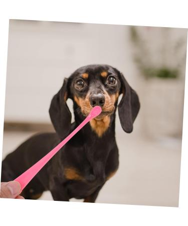 WOONEKY 4pcs Pet Toothbrush Dog Toothbrushes Dog Plaque Tools Pet Cleaning Brush Pet Toothpaste Puppy Abs - Buy Online on GoSupps.com