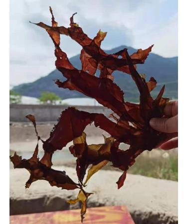 Atlantic Rhodymenia Palmata Dried Dulse Flakes 3.52 Ounce/100 g - Buy Online on GoSupps.com