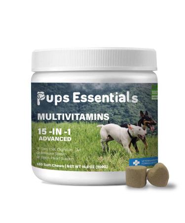 Dog Multivitamin Chewable - Dog Vitamins and Supplements with Glucosamine 15 in 1 - Senior & Puppy Multivitamin for Dogs - Pet Joint Support Health - Immunity Mobility Gut Skin - 120 Chews