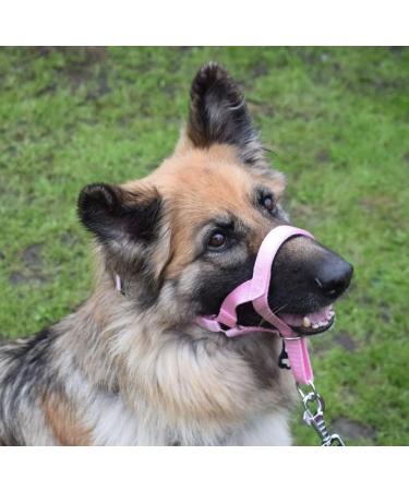 Champion Anti-Pull Training Halter for Dogs - Padded Black - Improve Control & Comfort - International Shipping Available - Buy Online on GoSupps.com