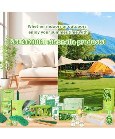SCENTORINI Citronella Candles - 6x2.5oz Soy Wax Lemongrass Scented Gift Set for Outdoor Patio Garden Camping | Portable Travel Tin Candles - Buy Online on GoSupps.com