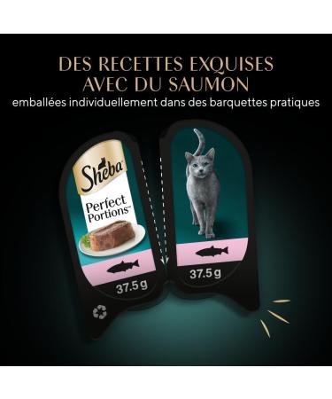 Sheba Perfect Portions for adult cats Trays Wet food Luxury salmon terrine 6x37 PACK OF 8 - Buy Online on GoSupps.com