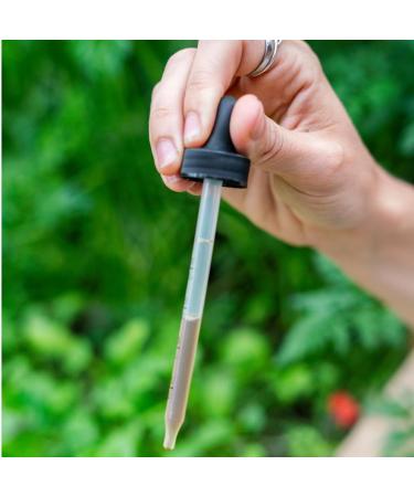 Motherlove More Milk Plus (2 Ounce Tincture) Fenugreek-Based Lactation Supplement to Support Breast Milk Supply USDA Certified Organic Vegan Kosher Soy-Free Unflavored 2 Fl Oz (Pack of 1) - Buy Online on GoSupps.com