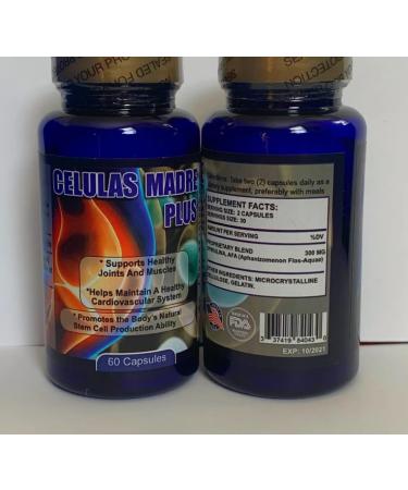 Madre Cell Plus - Suplemento de f rmula de nutrientes a Base de plantas de apoyo de c lulas saludables para antienvejecimiento y longevidad sin OMG sin Gluten vegetariano 120 c psulas - Buy Online on GoSupps.com