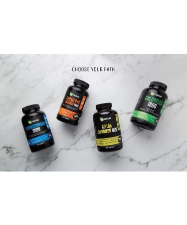 BE HERBAL Organic Ceylon Cinnamon Capsules 1800mg Extra Strength 1800mg - Promotes Healthy Blood Sugar Levels Anti-Inflammatory for Joint Pain Relief Heart Health Supplement Pills 90 Capsules - Buy Online on GoSupps.com