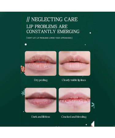 Fruit Flavored Lip Balm Gift Set 6 Pack for Hydrated and Soft Lips Multicolor One Size One Size Multicolor - Buy Online on GoSupps.com