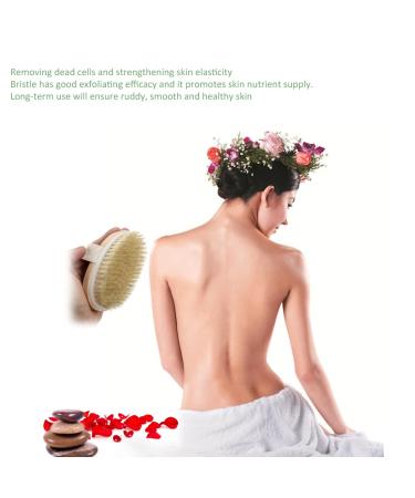 Angel Kiss Dry Brushing Body Brush - Natural Bristle Exfoliating Brush for Lymphatic Drainage and Blood Circulation - Medium Strength - Buy Online on GoSupps.com